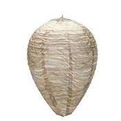 Starnearby Wespennest-Attrappe Vergleich