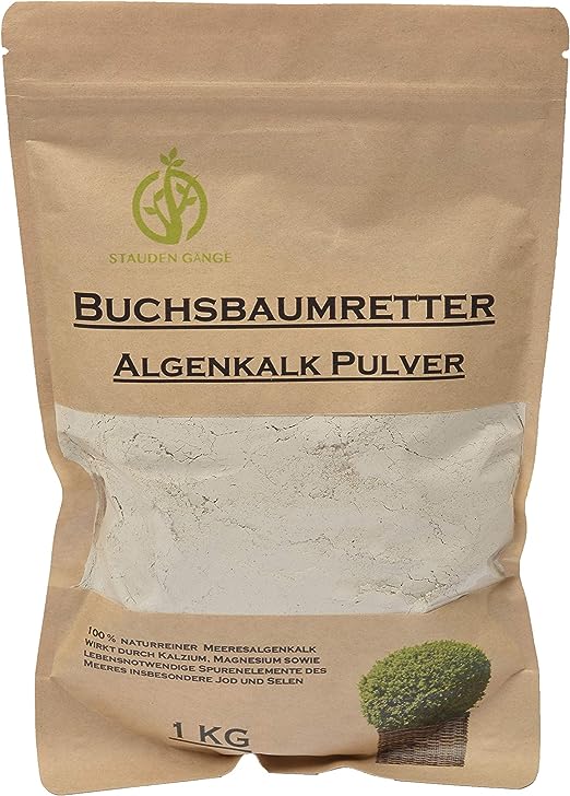 künstliche alpenveilchen Künstliches Alpenveilchen - Magdalena main image 0