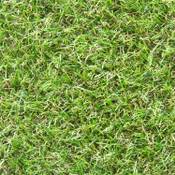 Steffensmeier Kunststoffrasen Wimbledon