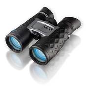 Steiner BluHorizons 10x42