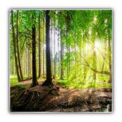 Steinfeld Heizsysteme Wald Panorama Vergleich