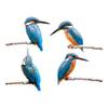 Stickers4 Vogelschutz-Aufkleber Eisvogel