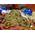 Strohauer´s veganer Christstollen