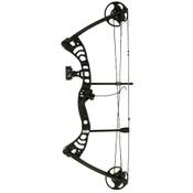 Strongbow Gecko Compoundbogen