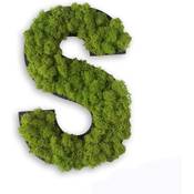 Stylegreen Buchstabe Islandmoos Vergleich