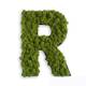 Stylegreen Buchstabe Islandmoos Vergleich