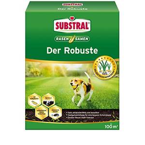 Rasensamen Test & Vergleich Top 10