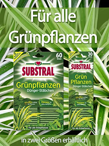Langzeitdnger Test & Vergleich  Top 11 im Juni 2026