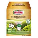 Substral Naturen Bio Buchsbaumzünsler Falle