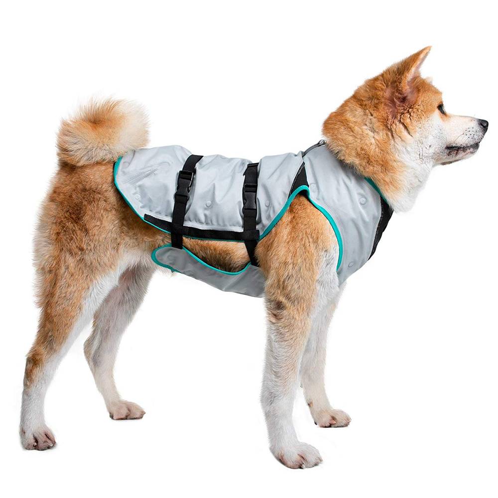 Kühlweste Hund Vergleich & Test » Top 16 im April 2025