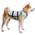 Suitical Kühlweste Hund
