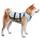 Suitical Kühlweste Hund