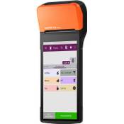 Lynne payment solutions V2S Flexy