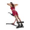 Sunny Health & Fitness Multifunktionale Roman Chair