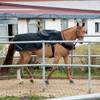 Sunride Derby