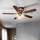 Sunxury 2 in 1 Deckenventilator