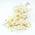 Super Streusel Schickeria