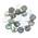 Superfindings Ablone-Muschel