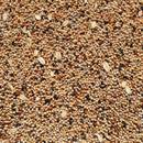 Supravit  Wachtelfutter