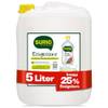 Surig Essigessenz