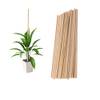 Suxgumoe Plant Support Sticks