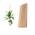 Suxgumoe Plant Support Sticks