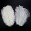Suyawo 17-Ostrich Feathers-White