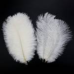 Suyawo 17-Ostrich Feathers-White