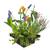 ‎S Vd Velde Waterplanten