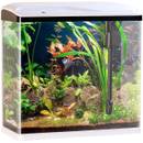 Sweetypet Nano-Aquarium Komplett-Set