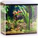 Sweetypet Nano-Aquarium Komplett-Set Vergleich