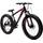 Swiss Mountain Fatbike 26 Zoll