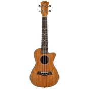 Swiss Ukoo Konzert Ukulele Vergleich