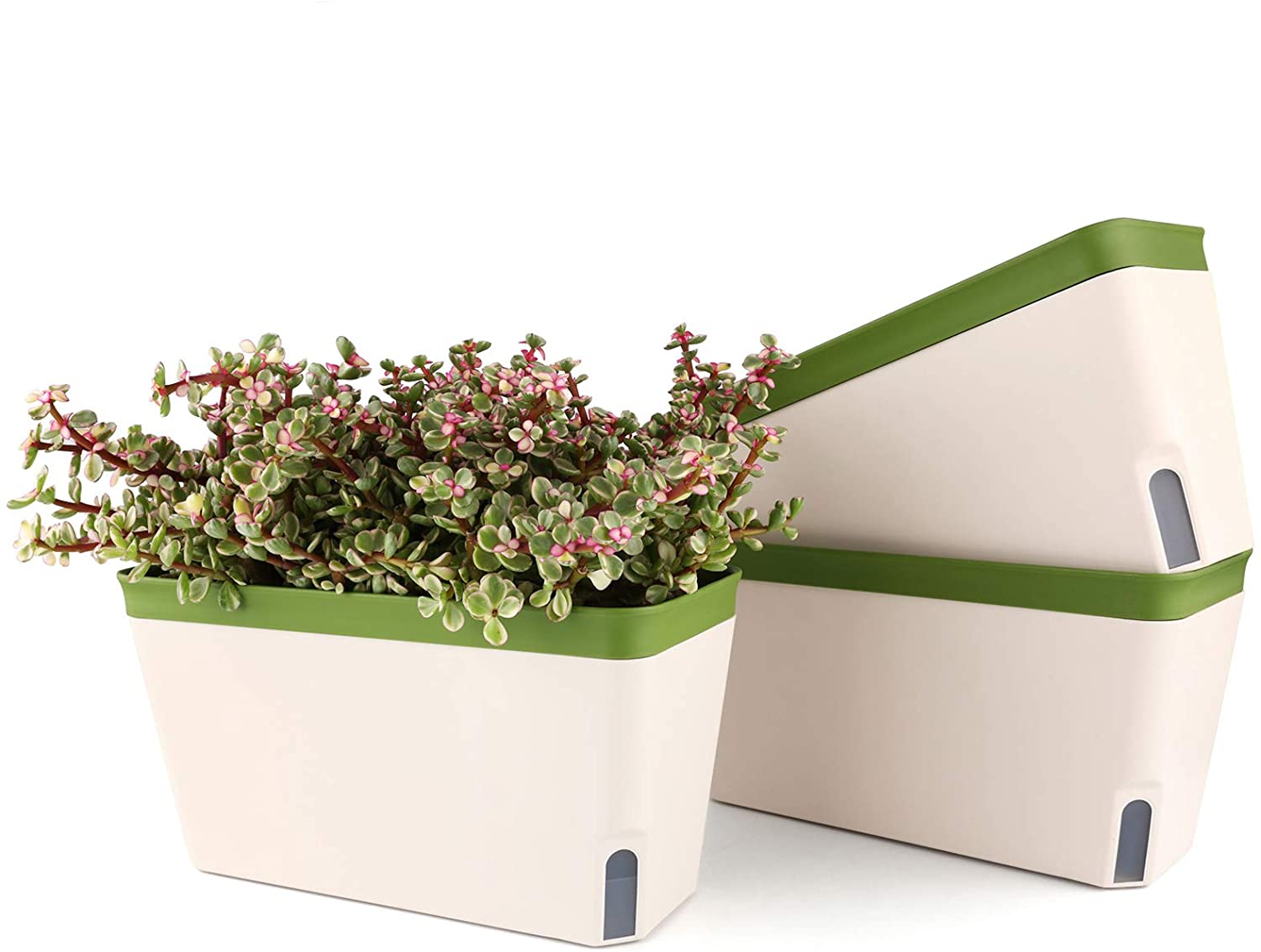 Blumenksten mit Wasserspeicher: Top 10 Test & Vergleich