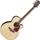Takamine 1DC SM