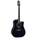 Takamine EF341SC