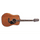 Takamine P3DC