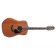 Takamine P3DC kaufen