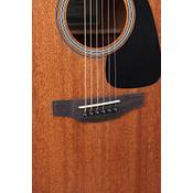 Takamine GD11M-NS