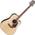 Takamine GD93CE NAT V2