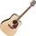 Takamine GD93CE NAT V2
