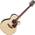 Takamine GN93CE