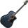 Takamine TALTD2021 LTD