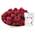 Tali Gefriergetrocknete Himbeeren