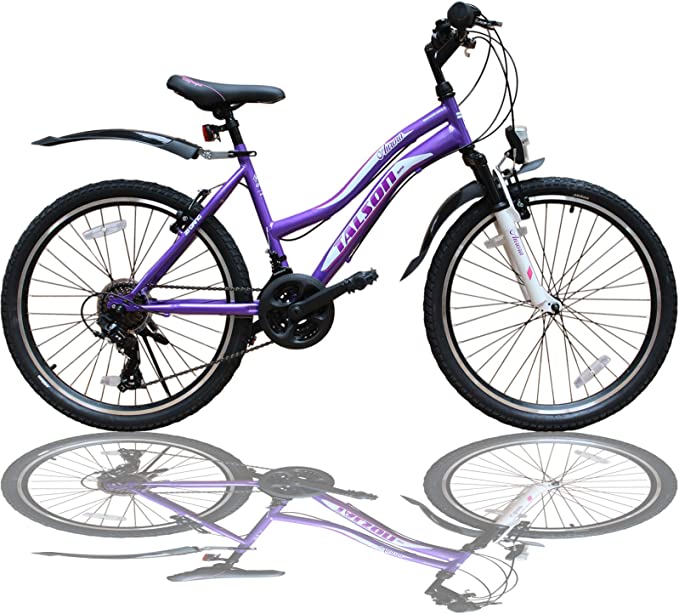 giant damenfahrrad Giant Explore E+1 GTS E-Bike Generalberholt verwendet E-Bike  H&B  Exclusive