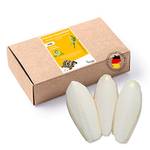 Tamay Sepiaschalen Premium 25 Stück