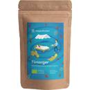 Teegeschwister Ingwertee