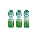 Teisseire Grüne Minze