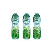 Teisseire Grüne Minze