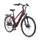 Telefunken E-Bike Damen Alu 28 Zoll